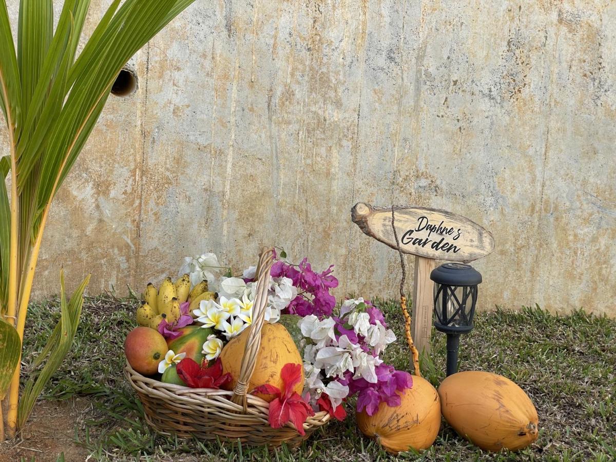 B Holiday Apartments Beau Vallon  Luaran gambar